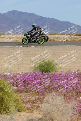 media/Mar-12-2023-SoCal Trackdays (Sun) [[d4c8249724]]/Turn 15 Inside Bloom (130pm)/